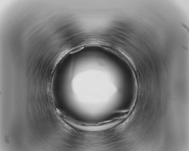 X0000095901481200801251213