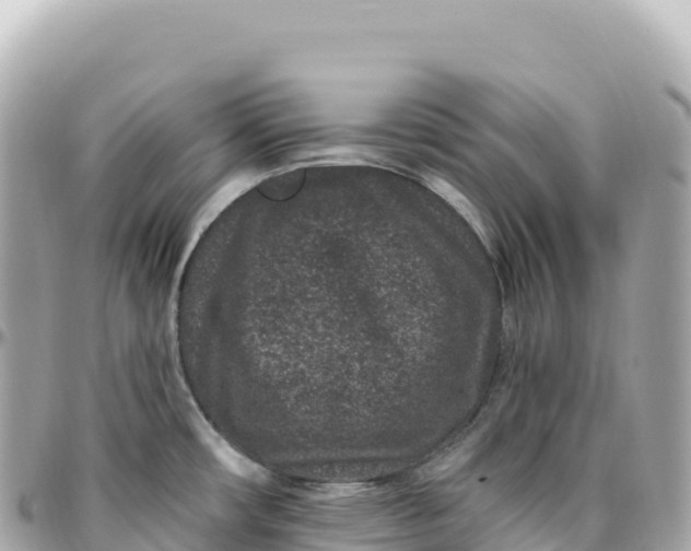 X0000095901482200801251213