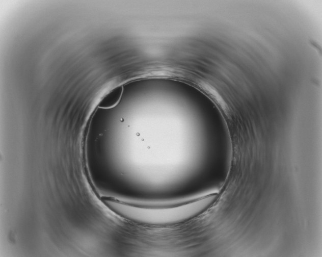 X0000095901483200801251213