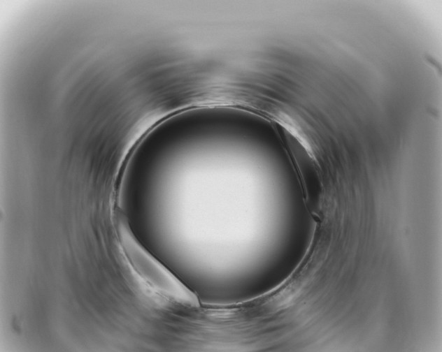 X0000095901484200801251213