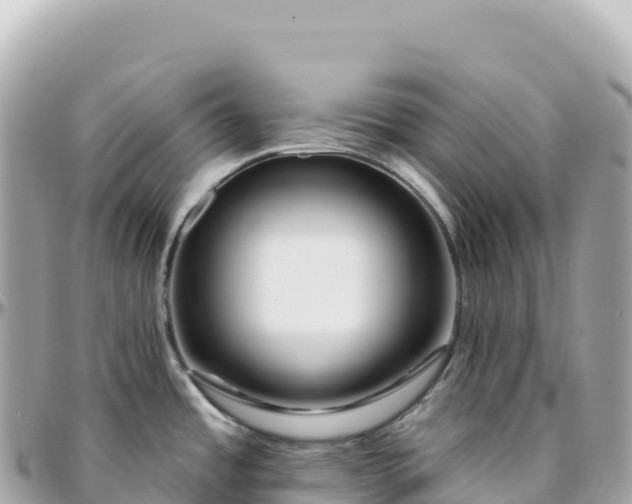 X0000095901485200801251213