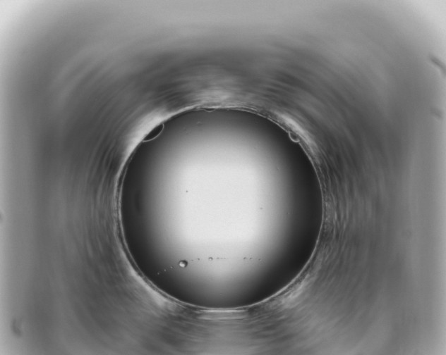 X0000095901487200801251213