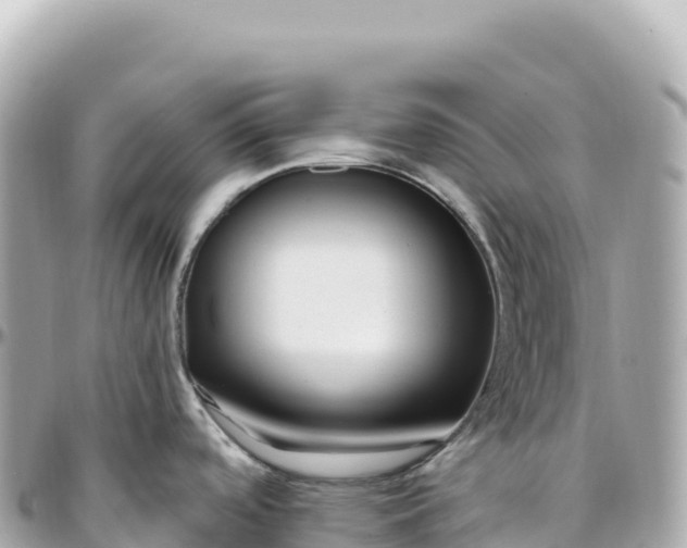 X0000095901488200801251213