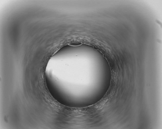 X0000095901489200801251213