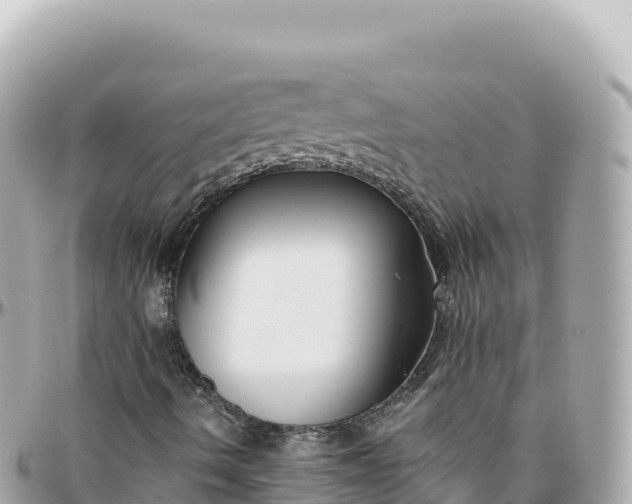 X0000095901490200801251213