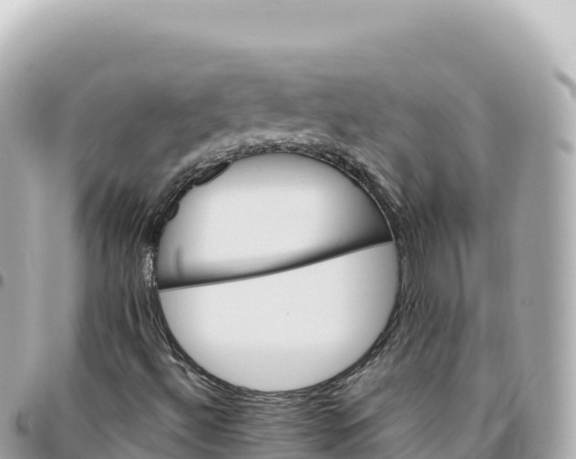 X0000095901492200801251213