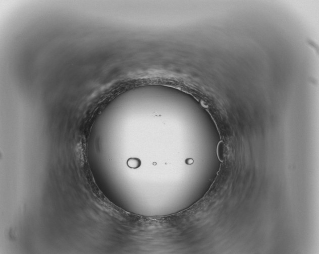 X0000095901493200801251213