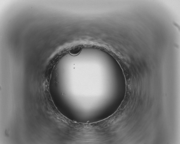 X0000095901495200801251213