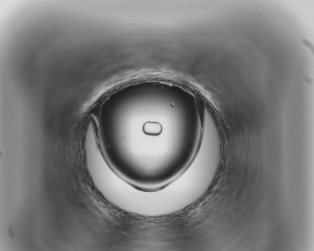 X0000095901496200801251213