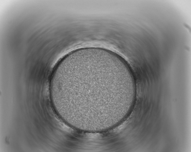 X0000095901498200801251213