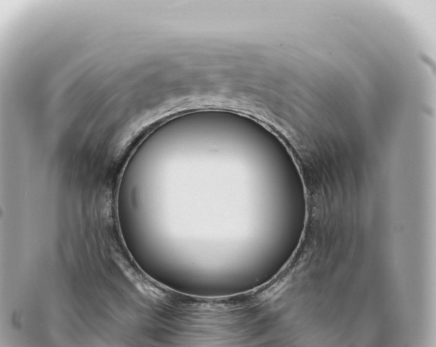 X0000095901499200801251213