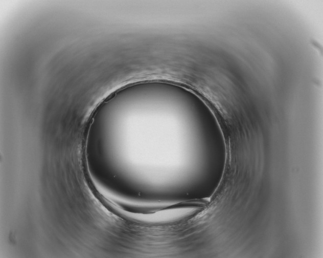 X0000095901500200801251213