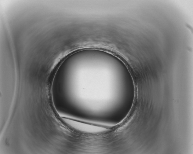 X0000095901501200801251213