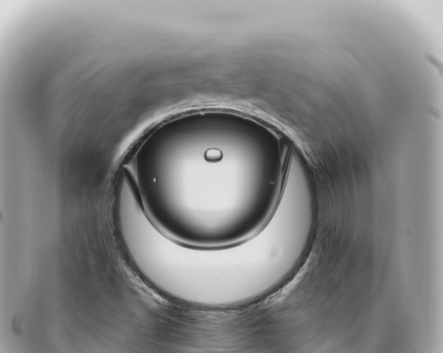 X0000095901502200801251213