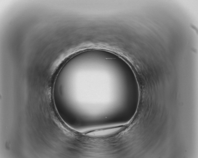 X0000095901503200801251213