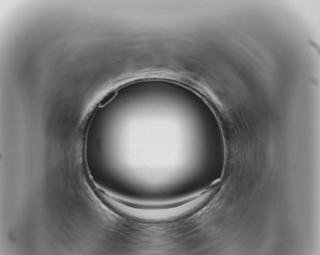 X0000095901504200801251213