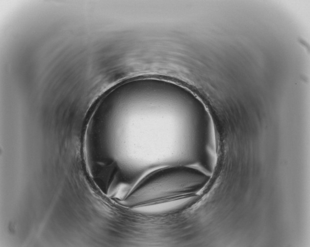 X0000095901505200801251213