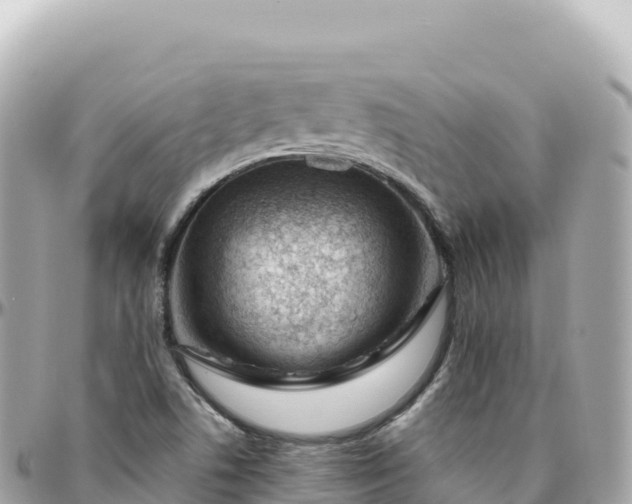 X0000095901506200801251213