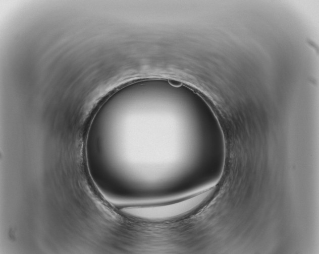 X0000095901507200801251213