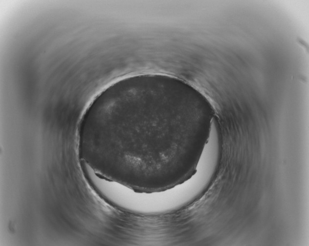 X0000095901508200801251213