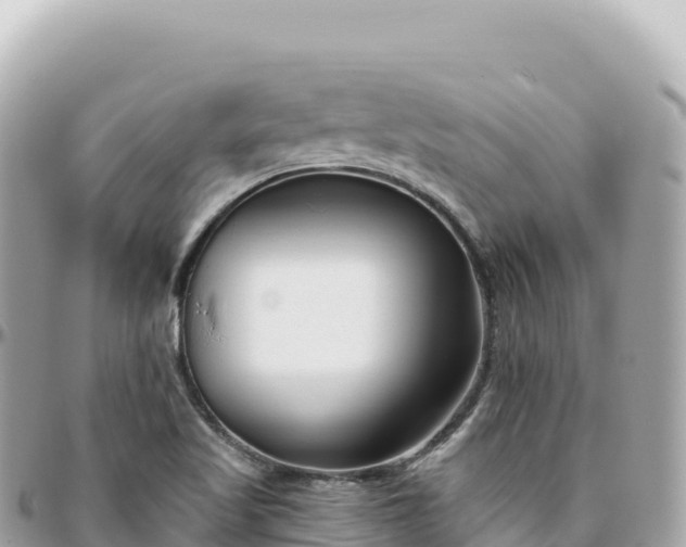 X0000095901509200801251213