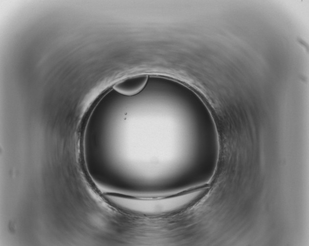 X0000095901511200801251213