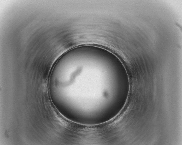 X0000095901513200801251213