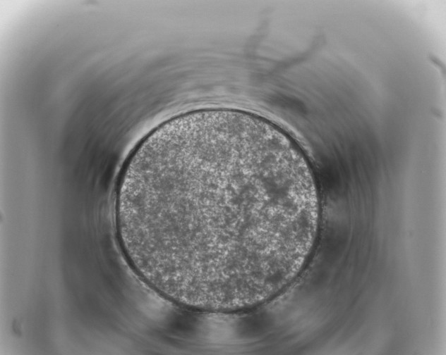 X0000095901514200801251213