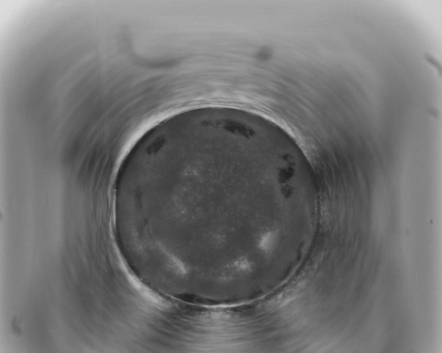 X0000095901515200801251213