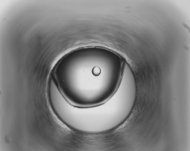 X0000095901518200801251213