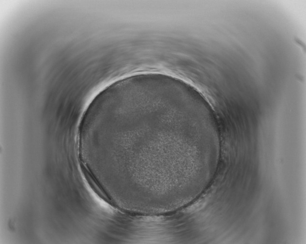 X0000095901519200801251213