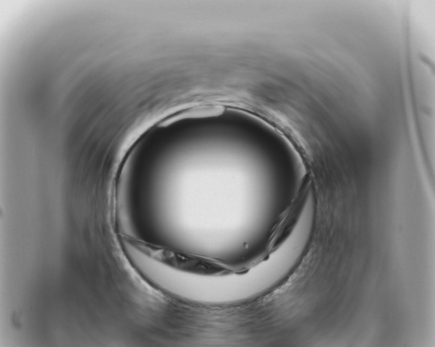 X0000095901520200801251213