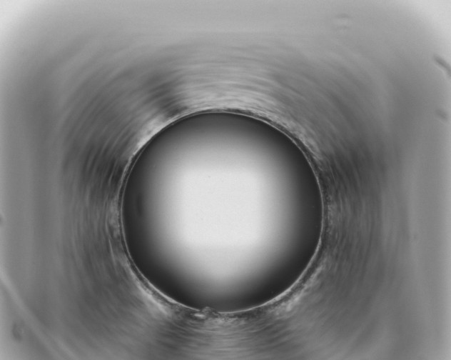 X0000095901521200801251213