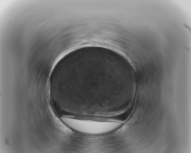 X0000095901522200801251213