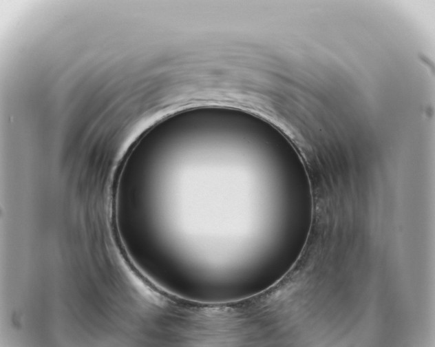 X0000095901523200801251213