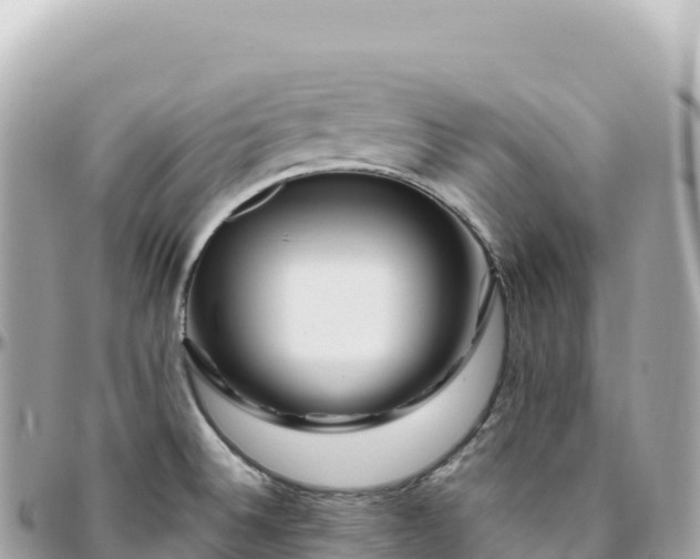 X0000095901524200801251213