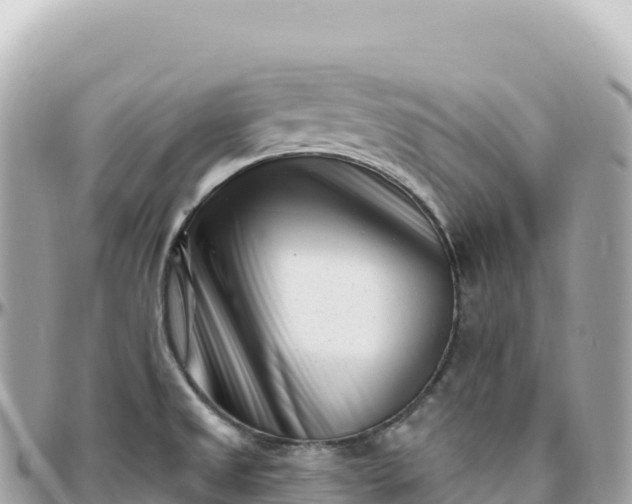 X0000095901525200801251213