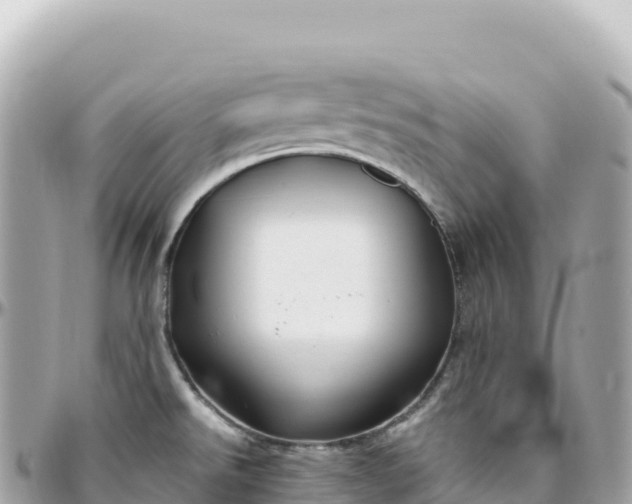 X0000095901526200801251213