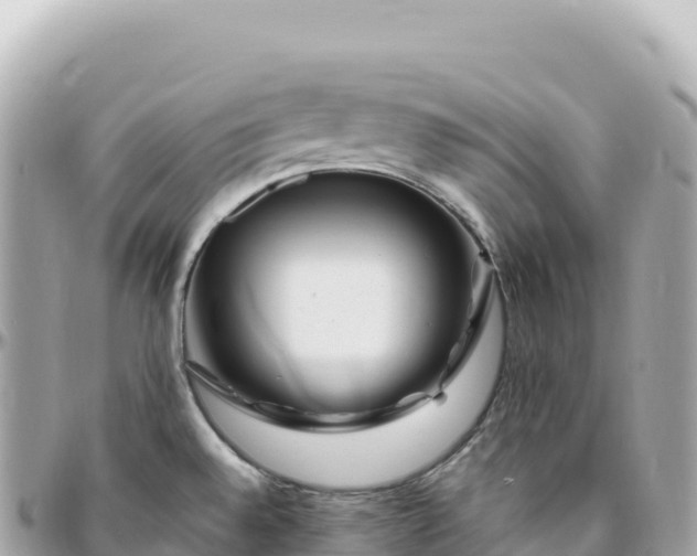 X0000095901528200801251213