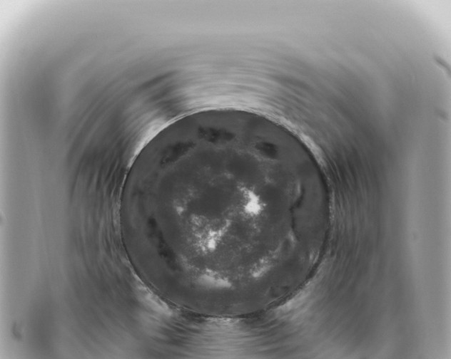 X0000095901529200801251213