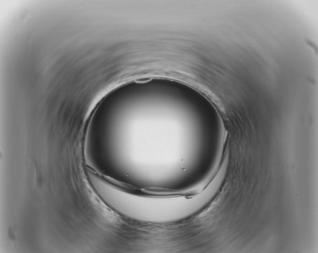 X0000095901530200801251213