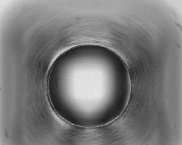 X0000095901531200801251213