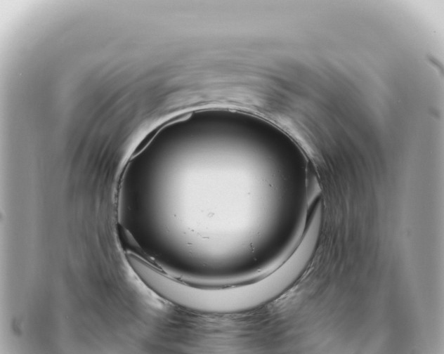 X0000095901532200801251213