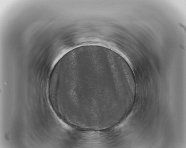 X0000095901533200801251213