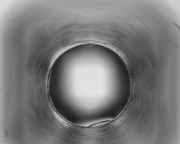 X0000095901535200801251213