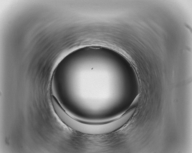 X0000095901536200801251213