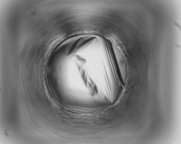 X0000095900001200802011139