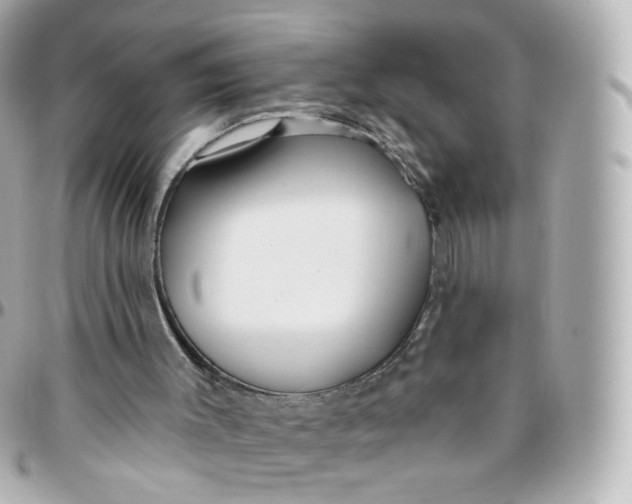 X0000095900003200802011139