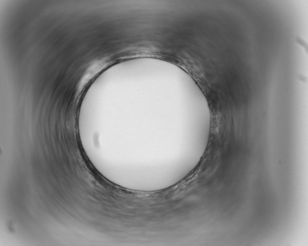 X0000095900004200802011139