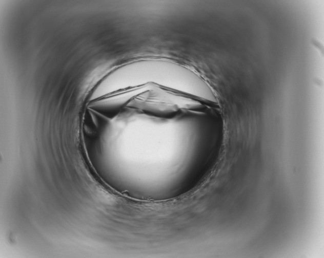 X0000095900005200802011139